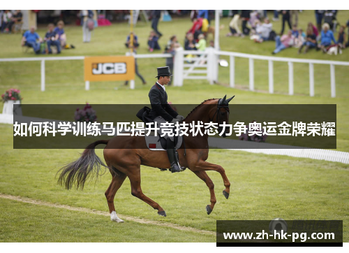 如何科学训练马匹提升竞技状态力争奥运金牌荣耀