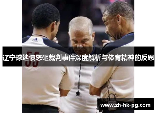辽宁球迷愤怒砸裁判事件深度解析与体育精神的反思