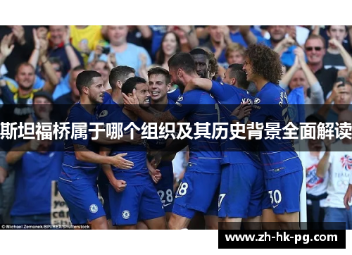 斯坦福桥属于哪个组织及其历史背景全面解读 斯坦福桥属于哪个组织及其历史背景全面解读