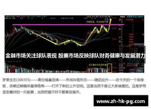 金融市场关注球队表现 股票市场反映球队财务健康与发展潜力 金融市场关注球队表现 股票市场反映球队财务健康与发展潜力